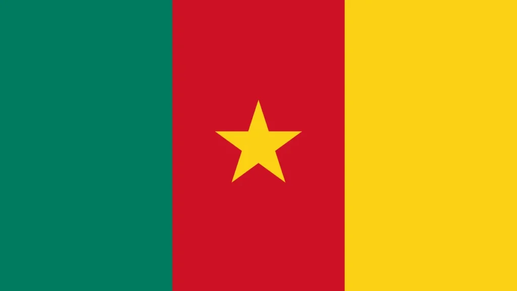 Cameroon — Expert Briefing