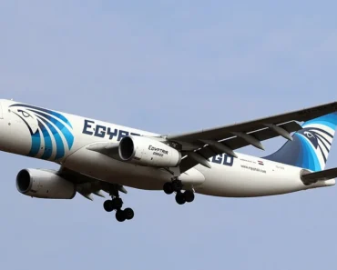 EgyptAir Cargo