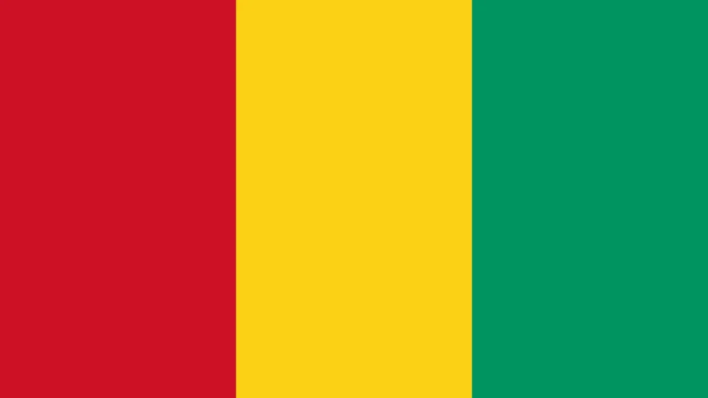 Guinea — Expert Briefing