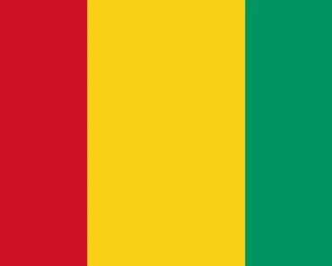 Guinea — Expert Briefing